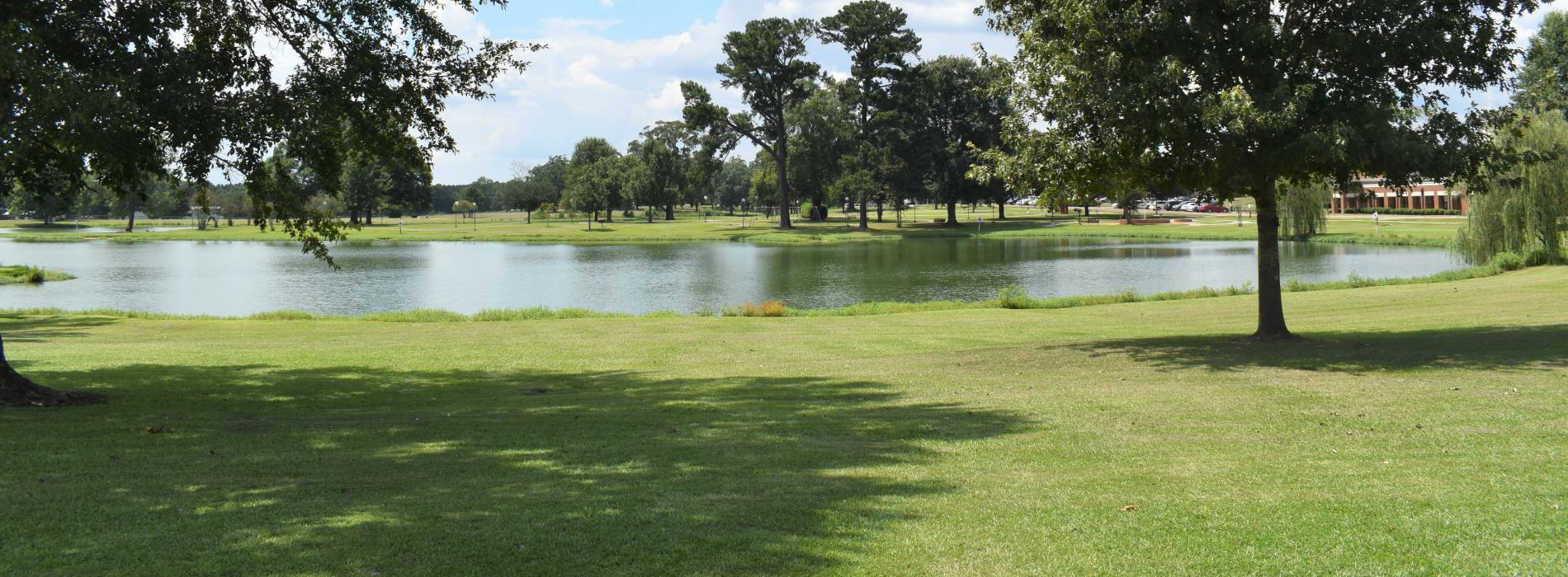 Home Ellisville State School